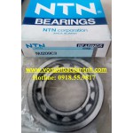 BẠC ĐẠN NU209C3 - NTN